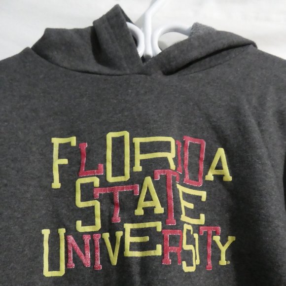 CHAMPION ECO FLEECE Future Friendly Youth X-Large (14-16) charcoal hoodie, GUC - Picture 5 of 16